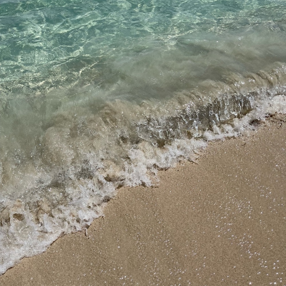 Meet your Posher, Lee